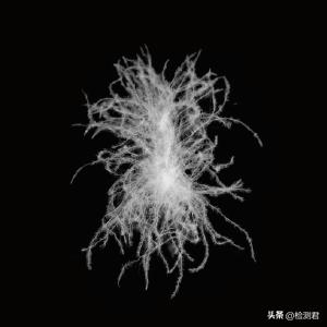 羽绒服执行标准，国标羽绒服标准