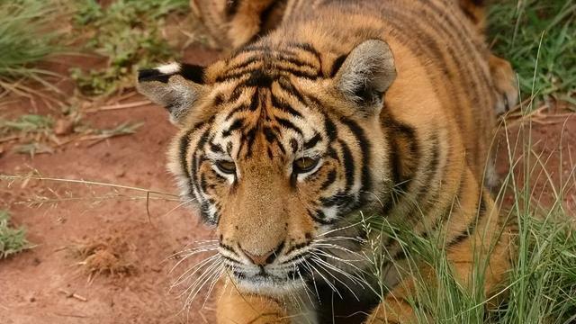 电影剪辑的常用技巧和手法有哪些，这几个影视剪辑技巧