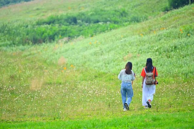 南川区十大必去景点，环金佛山178公里