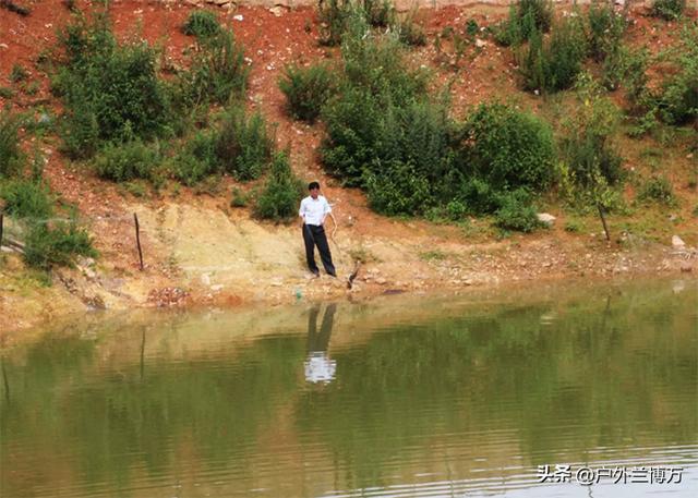 撒腿就跑和硬刚，钓鱼时爬地虎闹窝怎么办