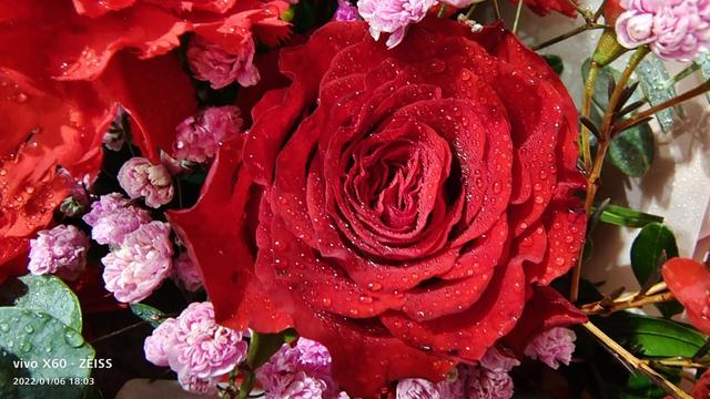 好的养老院有那些，目前有什么好的养老院