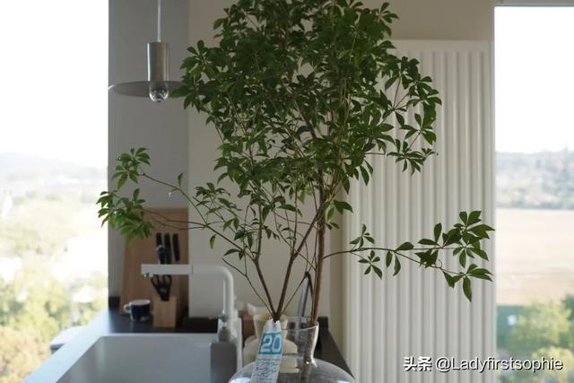 大开间一居室如何布置，110㎡只做一居室