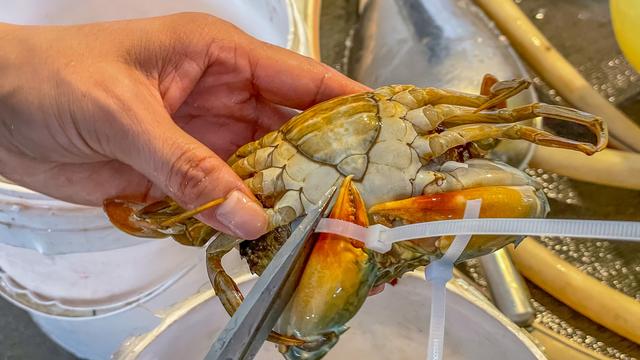 广州大沙地有什么吃的，广州最南端的潮玩地