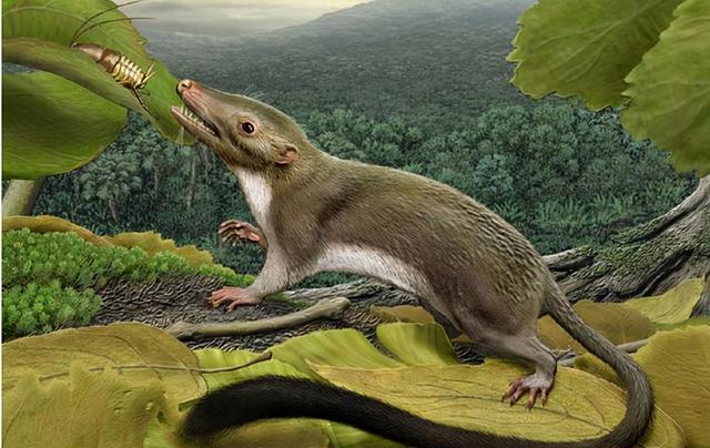 人类的进化史到底是什么样的，人类进化史上有13万年的空白,过程中发生了什么