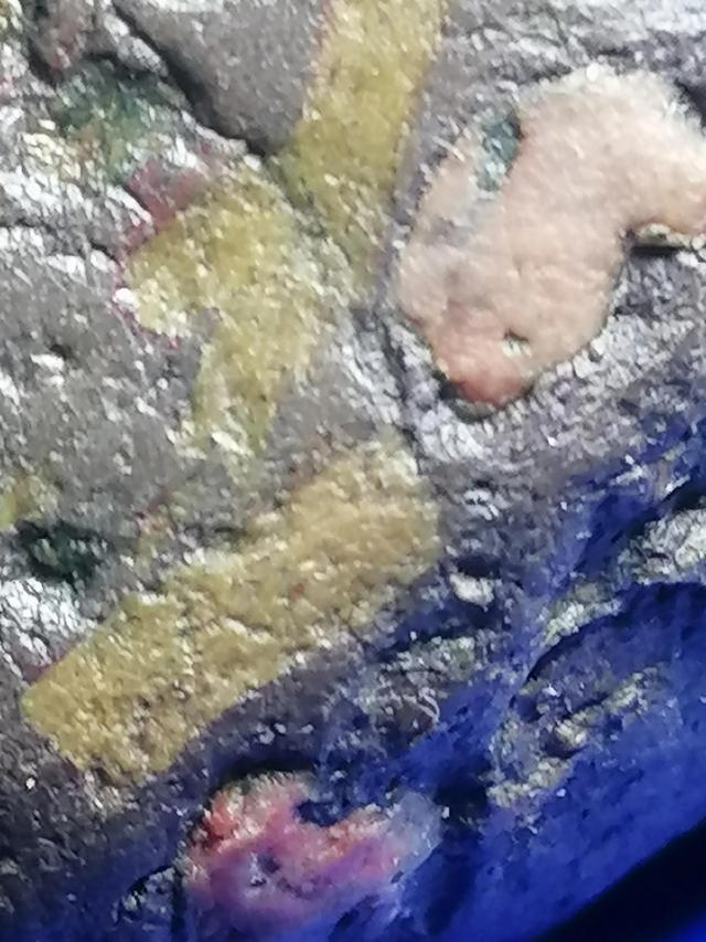 橄榄石石铁陨石,橄榄石铁陨石的特征与磁性 橄榄石石铁陨石,橄榄石铁陨石的特征与磁性