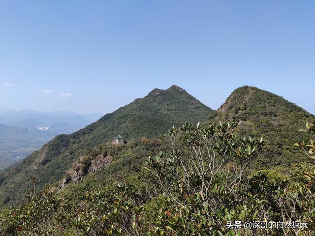 深圳不起眼的山峰，深圳这十座不知名山峰