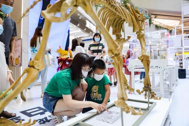丰台马家堡的规划，丰台区马家堡区域城市活力中心首站亮相凯德MALL