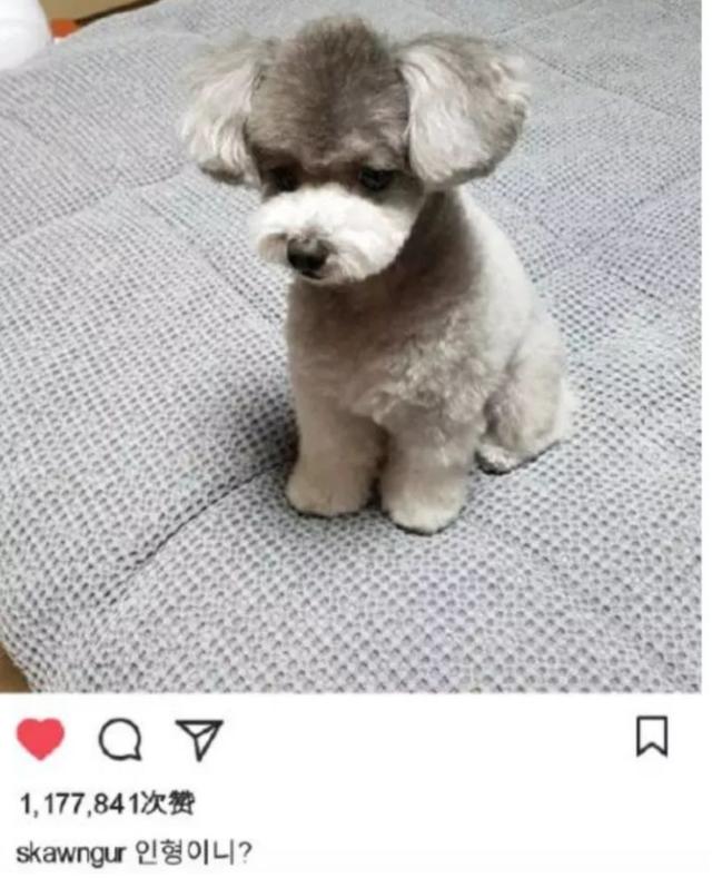 李圣经身高体重，李圣经近期恋情