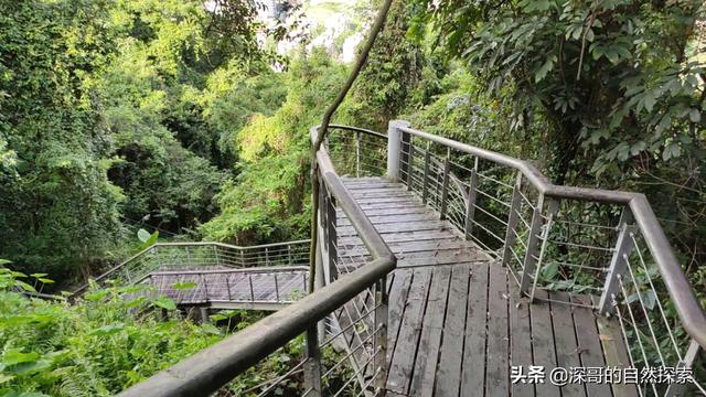 深圳不起眼的山峰，深圳这十座不知名山峰