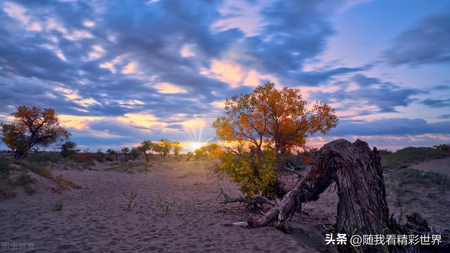 内蒙古旅游景点大全，内蒙古必看景点（盘点内蒙古26个最好玩的景区景点）