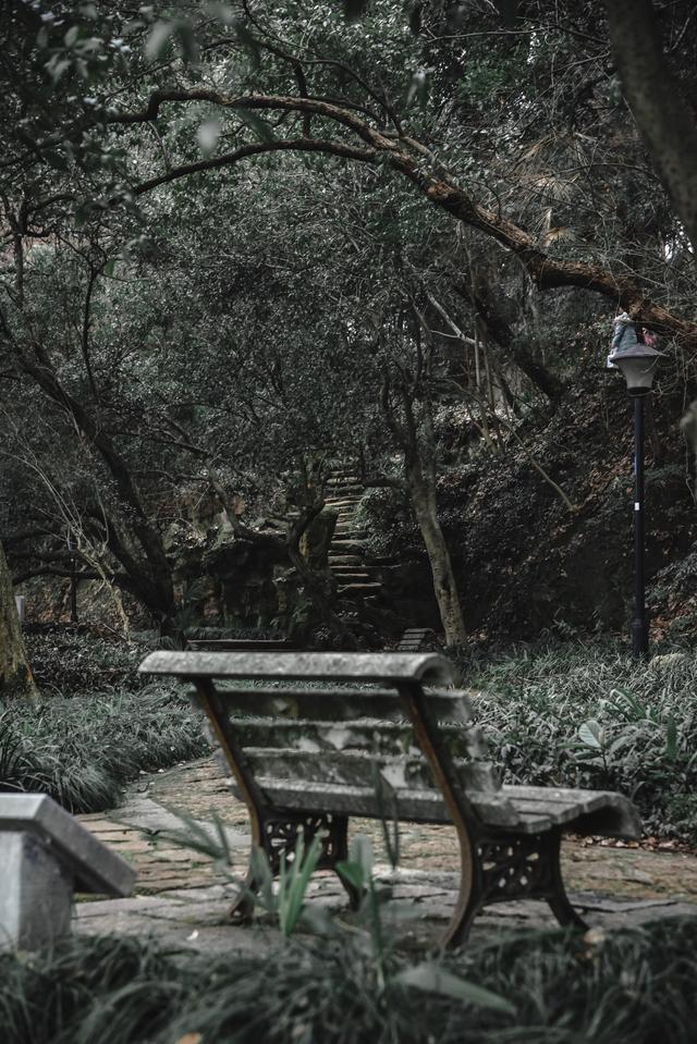 西湖和玄武湖的人文景观比较，孤山不孤西湖的心脏