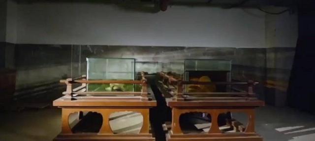 古墓挖出七星石棺，广西挖出北斗七星巨棺