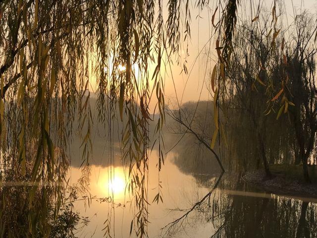 开四关功效和作用，开四关的好处与作用（穴位：一个神奇的穴位）