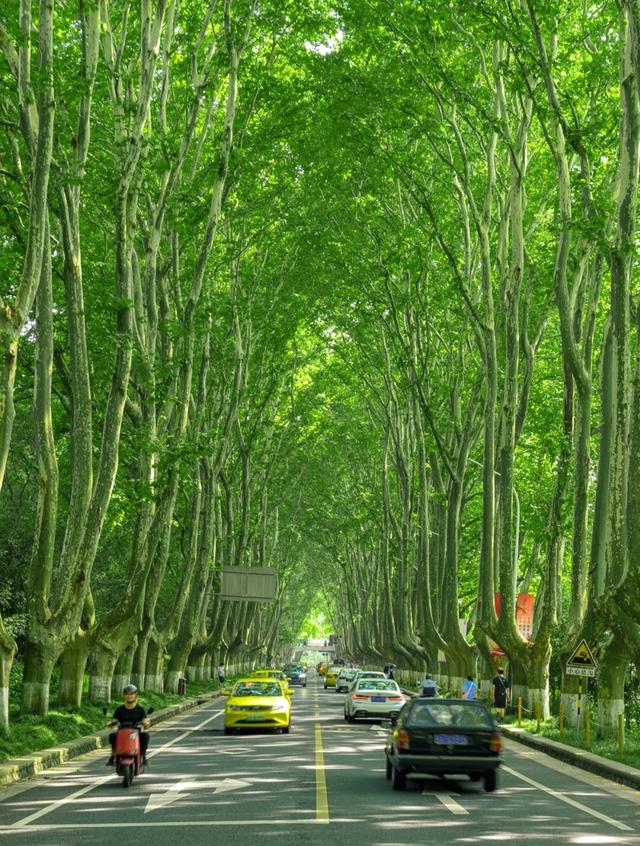 南京地铁线路图，南京轨道交通线路图（南京轨道交通运营）