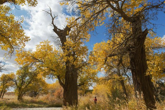 酒泉卫星基地地图，酒泉卫星发射中心地图