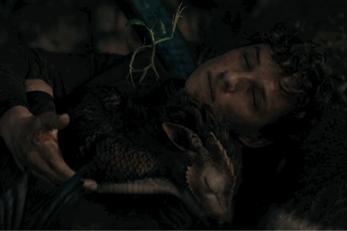 有哪些神奇的动物，15种你需要了解的神奇动物（10种不寻常的神奇动物很难想象它们独特的模样）