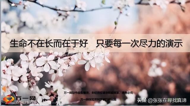 读书感悟20字，读书的感悟和哲理