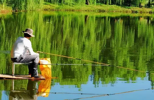 钓鲤鱼的绝招和技巧，钓鱼高手的擒鲤