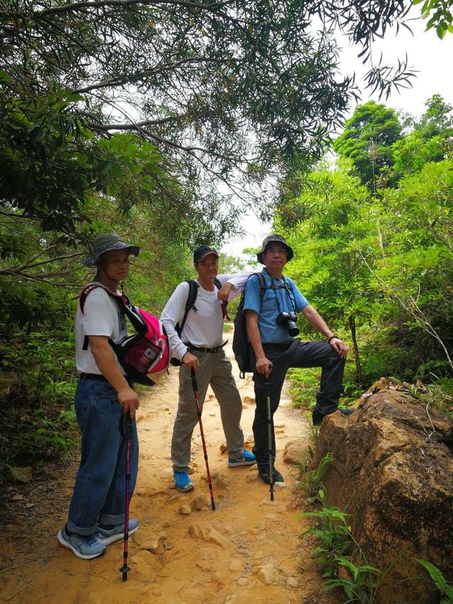 关于深圳梧桐山简介，深圳之巅——梧桐山