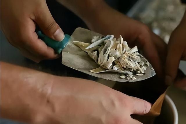 遗体火化痛苦吗，人死后火化是不是太残忍了（其他器官还有知觉吗）