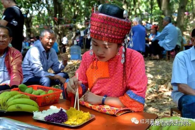 红河哈尼族彝族，红河州有几种少数民族（<红河哈尼族彝族自治州篇>）