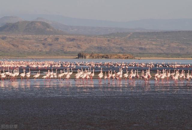 蛇湖边上很危险，世界上最危险的地方排名