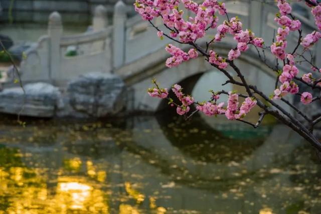 保送北大的数学天才，才华横溢北京女学霸