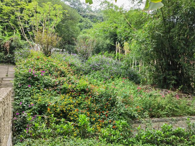 重庆矿山公园旅游攻略，废弃矿山蝶变生态公园