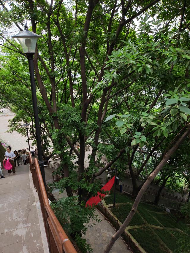 重庆矿山公园旅游攻略，废弃矿山蝶变生态公园