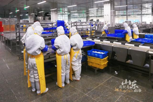 威海在哪个省哪个城市，威海属于哪个省份哪个市（中国这座海滨小城）