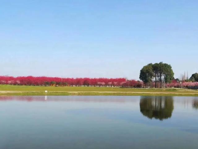 成都自驾游攻略，成都一个小时自驾游攻略（四川省内9条精华主题自驾路线攻略地图分享）