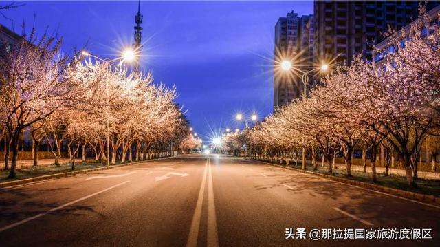 伊犁河谷最值得去的地方，伊犁河谷赏花攻略