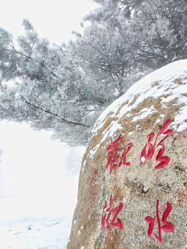 吉林雾凇景色奇特三九严寒，冰天雪地中的美景——吉林雾凇