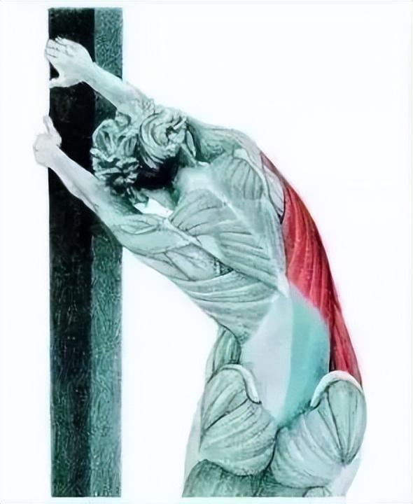 10分钟懒人拉伸训练动作，这6组33个拉伸动作绝了