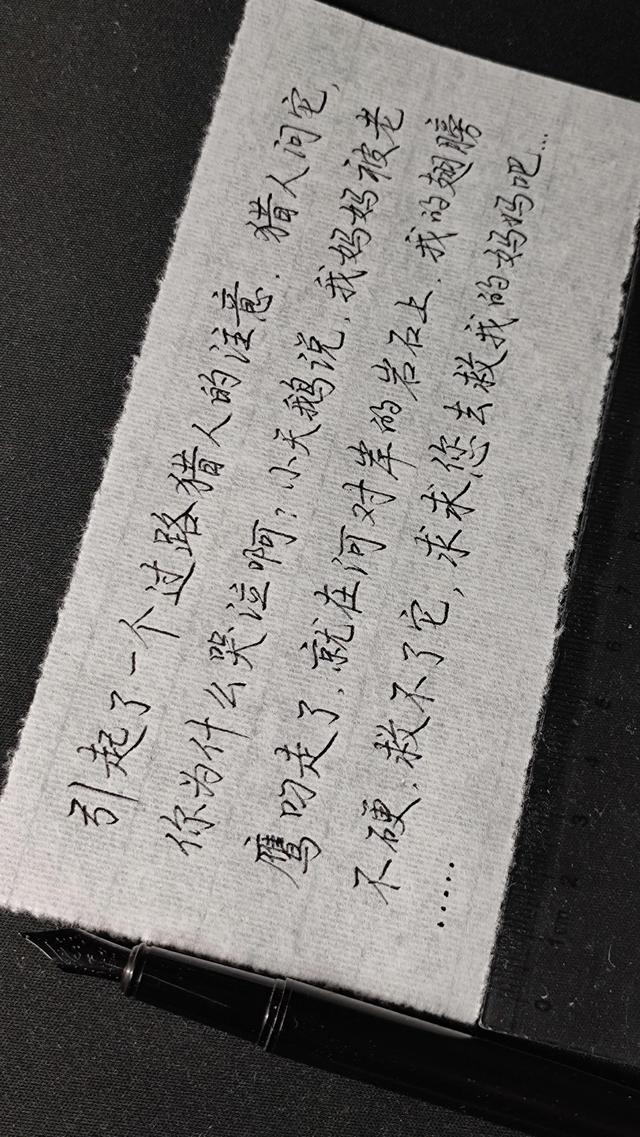 关于黑颈天鹅的故事，感情最专一的黑颈天鹅