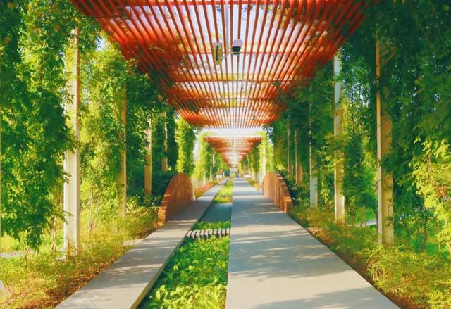 亚洲设计之都，向世界设计之都