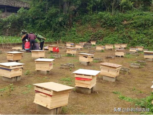 蜂蜜会变质吗能保存多长时间，很多人不知道出现这个味道就得扔了