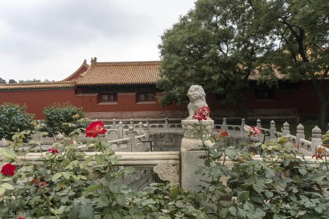 增广贤文经典名句，增广贤文十条金句