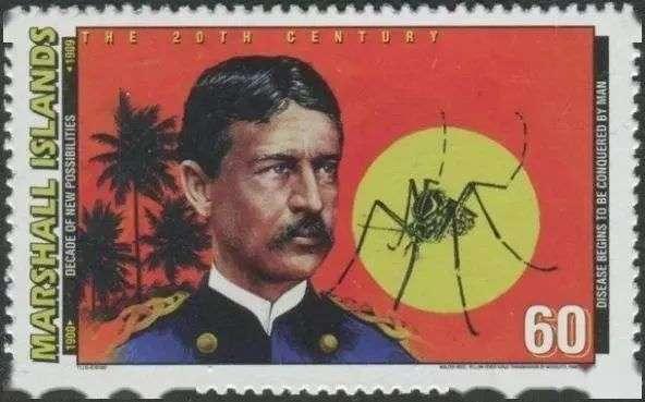 壬寅虎年大势总述，壬寅年总结：风雨烟火又一年