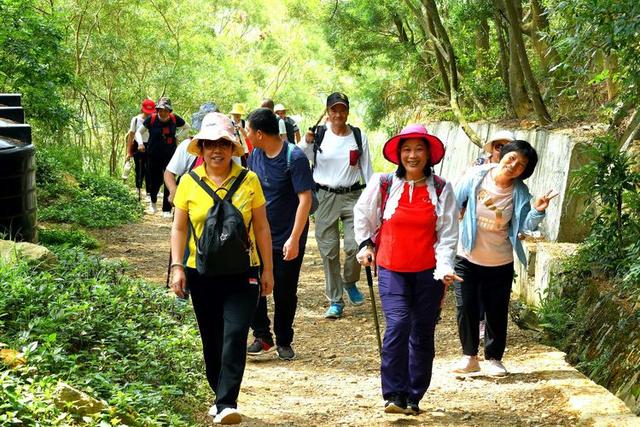 关于深圳梧桐山简介，深圳之巅——梧桐山