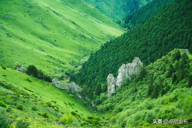 大峪沟旅游风景区介绍，最能治愈人心的便是这世间的绝美风景