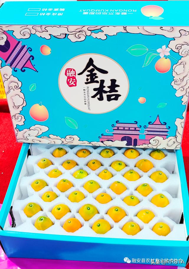 脆蜜金柑的优点和缺点，脆蜜金柑这么好品质、这么高效益