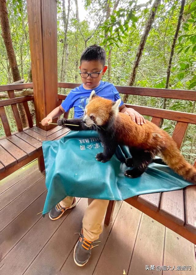 普洱到西双版纳，西双版纳普洱旅游攻略