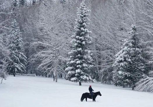 春天去哪里旅游，最适合春天去的7大旅游景点