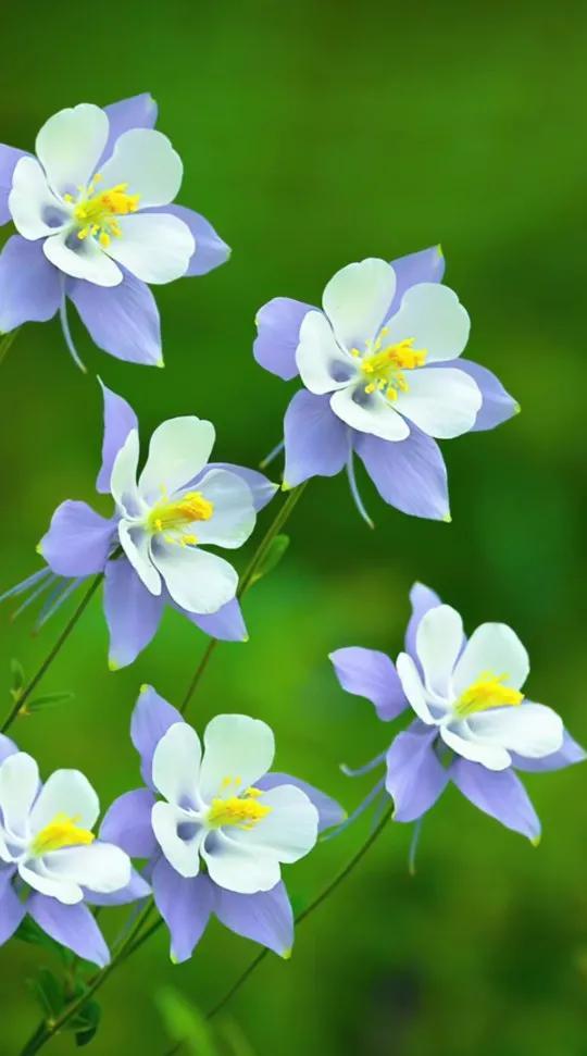 精选80条名人名言，值得一看的名人名言录