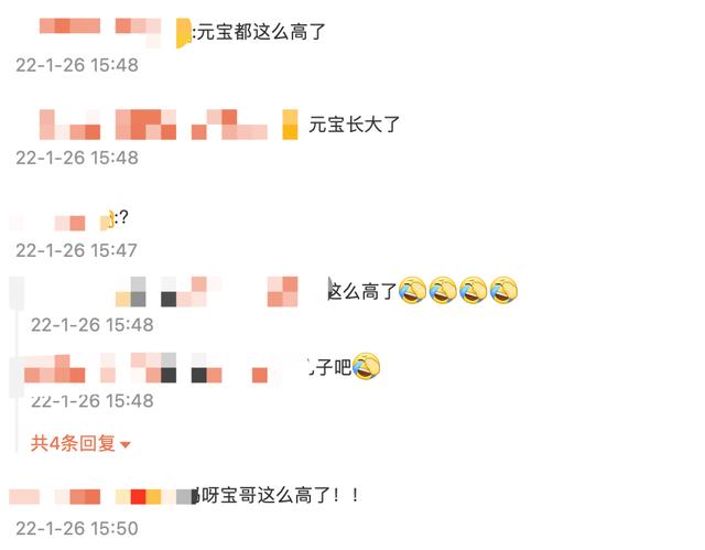 白百合的儿子叫什么，白百合丈夫是谁