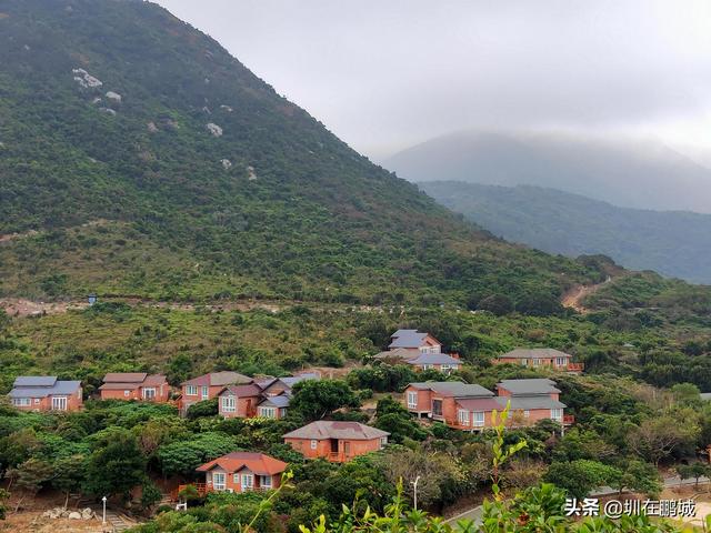 杨梅坑鹿嘴山庄，杨梅坑深圳旅游（鹿嘴山庄寻鹿攻略）