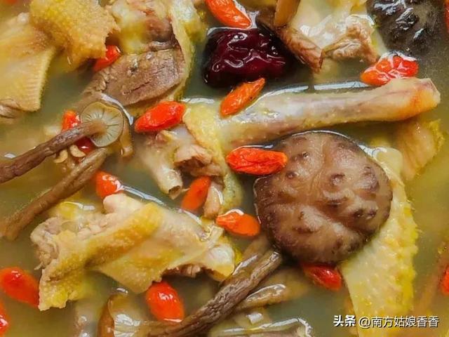 滋阴润燥的鸽子汤，多喝六款滋补鸽子汤