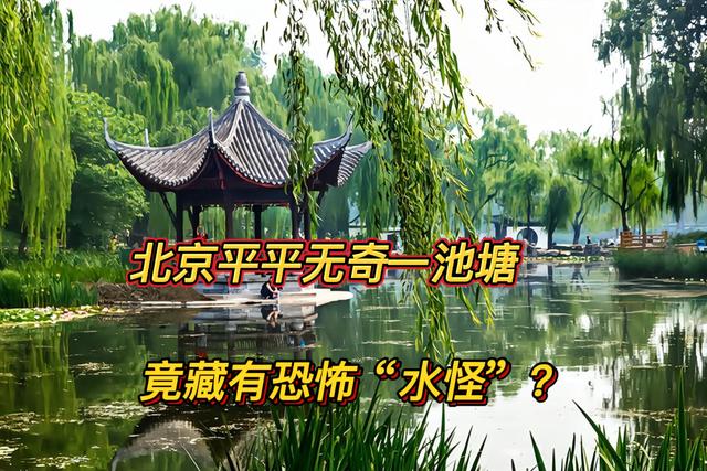 湖里的水怪真的很吓人，清末北京陶然亭惊现水怪