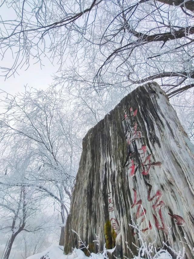 吉林雾凇景色奇特三九严寒，冰天雪地中的美景——吉林雾凇